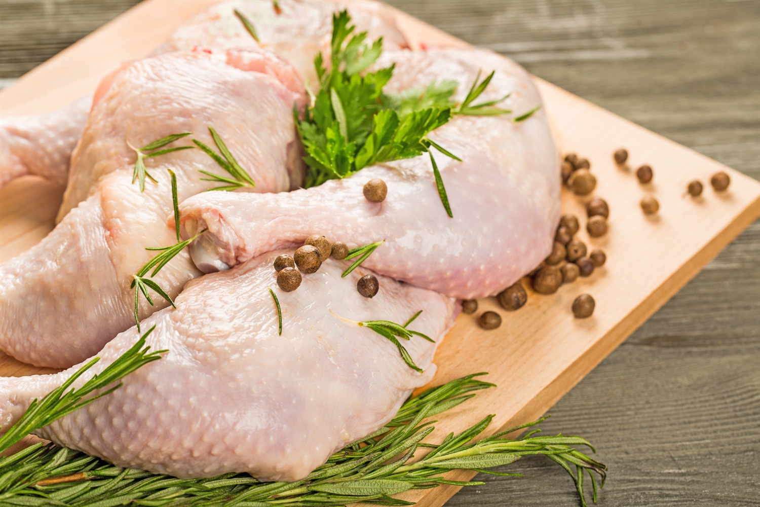 Verifier reviewing records and documents